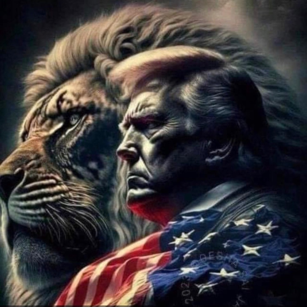 Trump/Gilman t-shirts L to 3X r-w-b-bl